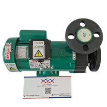 Cargar imagen en el visor de la galería, Bomba Química de Acoplamiento Magnético World Chemical | Mod. YD-20Y6GS1-GP-RD61-FF (0.26 kW / 115V)
